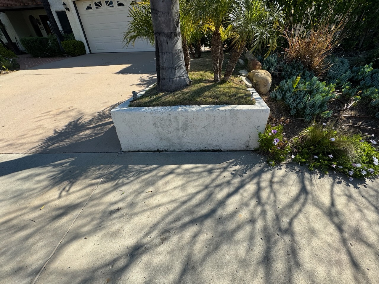 Driveway after — cleared & clean